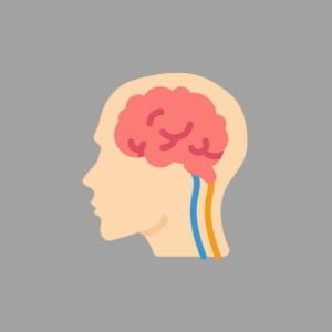 Brain & Nervous System Icon