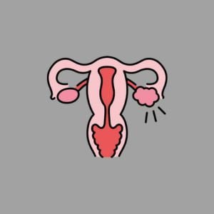 PCOS Icon